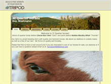 Tablet Screenshot of jcquarterhorse.tripod.com