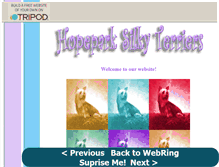Tablet Screenshot of hopeparksilkyterrier.tripod.com