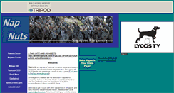 Desktop Screenshot of napnuts.tripod.com