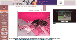 Desktop Screenshot of amigoforlifechi.tripod.com