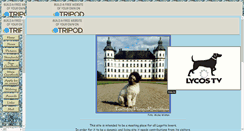 Desktop Screenshot of lagotto.romagnolo.tripod.com