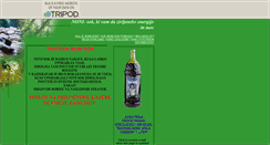 Desktop Screenshot of borutslowenia.tripod.com