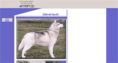 Desktop Screenshot of huskybih.tripod.com