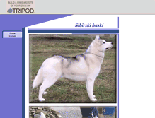 Tablet Screenshot of huskybih.tripod.com