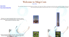 Desktop Screenshot of miigitotempoles.tripod.com