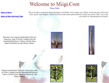 Tablet Screenshot of miigitotempoles.tripod.com
