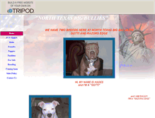 Tablet Screenshot of northtexasbigbullies.tripod.com