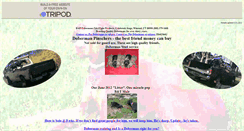 Desktop Screenshot of ctdobermans.tripod.com