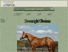 Tablet Screenshot of downrightobvious.tripod.com