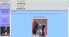 Desktop Screenshot of nevergiveup0.tripod.com