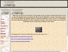 Tablet Screenshot of bendoyle0.tripod.com