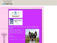 Tablet Screenshot of flairtfts.tripod.com