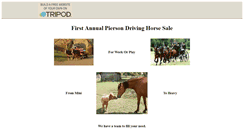 Desktop Screenshot of drivinghorse.tripod.com