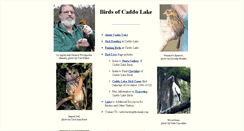 Desktop Screenshot of caddobirds.tripod.com