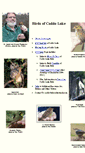 Mobile Screenshot of caddobirds.tripod.com