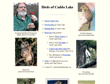 Tablet Screenshot of caddobirds.tripod.com