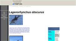 Desktop Screenshot of duskydolphin0.tripod.com