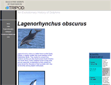 Tablet Screenshot of duskydolphin0.tripod.com