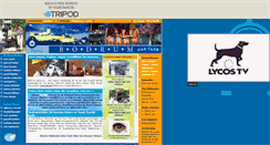 Desktop Screenshot of bodrumonline.tk.tripod.com
