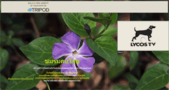 Desktop Screenshot of konsoad.tripod.com