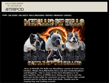 Tablet Screenshot of metallicpitbulls.tripod.com