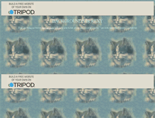 Tablet Screenshot of byrexy.tripod.com