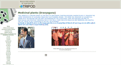 Desktop Screenshot of indianmedicine.tripod.com
