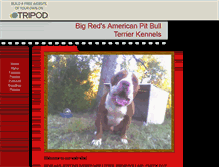 Tablet Screenshot of bigredkennels.tripod.com