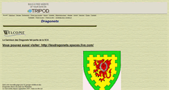 Desktop Screenshot of dragonets.tripod.com