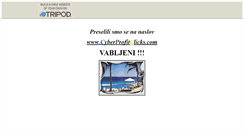Desktop Screenshot of cyberprofit.tripod.com