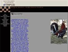 Tablet Screenshot of battlehorse.tripod.com