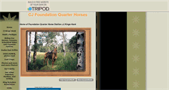 Desktop Screenshot of cjfoundationqh.tripod.com