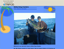 Tablet Screenshot of lcolema2.tripod.com