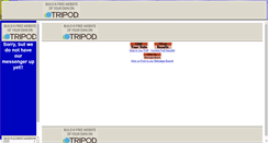 Desktop Screenshot of fxmessenger.tripod.com