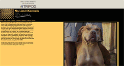 Desktop Screenshot of chopparunks.tripod.com