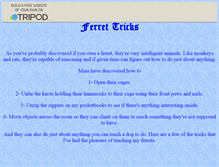 Tablet Screenshot of ferretmom2.tripod.com