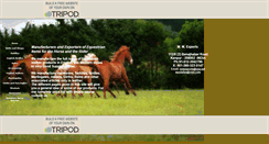 Desktop Screenshot of mmexports.tripod.com