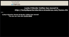 Desktop Screenshot of lucky8bordercollies.tripod.com