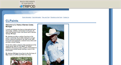 Desktop Screenshot of clpaints.tripod.com