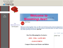 Tablet Screenshot of bloominglights.tripod.com