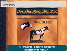 Tablet Screenshot of prairieridgeranch.tripod.com