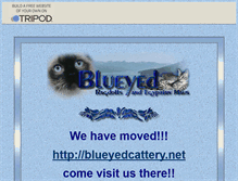 Tablet Screenshot of blueyed-ragdolls.tripod.com
