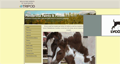Desktop Screenshot of ponderosapaintsandpintos.tripod.com