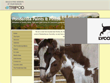 Tablet Screenshot of ponderosapaintsandpintos.tripod.com