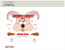 Tablet Screenshot of chubbybunnyband.tripod.com
