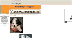 Desktop Screenshot of maltipoos.tripod.com