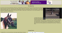 Desktop Screenshot of akhaltekeamerica.tripod.com
