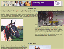 Tablet Screenshot of akhaltekeamerica.tripod.com