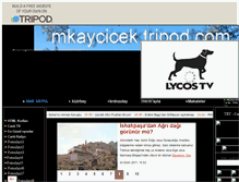 Tablet Screenshot of mkaycicek.tripod.com