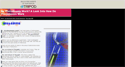 Desktop Screenshot of do-pheromones-work.tripod.com